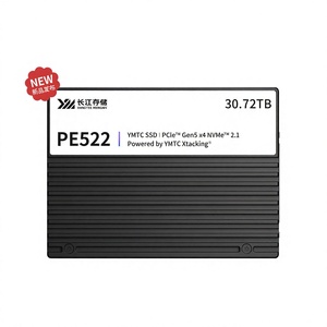 SSD NVMe PCIe 5.0 de classe entreprise Yangtze Memory, YMTC PE522, 30,72 To pour serveurs hautes performances - Product Image 1