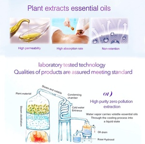 Sándalo jazmín Rosa Manzanilla menta vainilla té árbol aceite esencial para el cuidado de la piel difusor humidificador vela jabón Perfume - Product Image 2