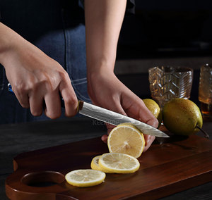 10 cái dao đặt Damascus nhà bếp dao Laser mô hình 4cr13 thép không gỉ với nhựa màu đỏ xử lý nhà máy bán buôn - Product Image 3