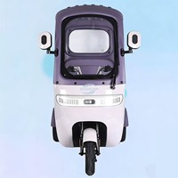 Triciclo Eléctrico de 4 Ruedas de Alta Velocidad, Carrocería Cerrada, para Pasajeros y Carga, Suministro Directo de Fábrica, Venta Transfronteriza