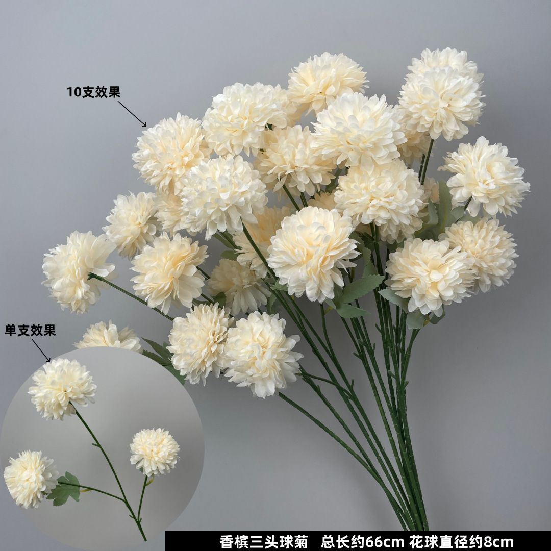 3 ลูกบอลดอกเบญจมาศ