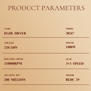 Secador de Pelo Dsp Encore 220V Gris de Alta Velocidad Iónico con Enchufe Europeo - Product Image 4