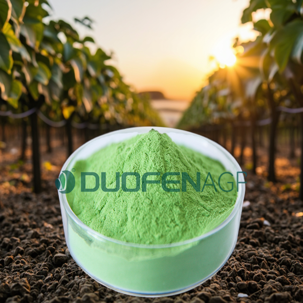 Wholesale Organic Seaweed Powder Fertilizer for Vineyards