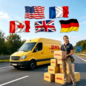 Servicios Profesionales de Logística Internacional Puerta a Puerta con DHL, Agente de Transporte de Carga DDP - Product Image 1