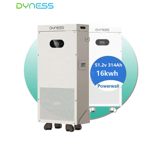 Batteria al Litio DYNESS PowerBrick SC 51.2v 300ah 16kwh 15kwh con BMS Integrato e Sistema di Protezione Antincendio, 8000 Cicli, Power Wall per Energia Domestica - Product Image 3