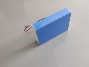 Batería de Iones de Litio LFP19.2V12AH 230WH para Dispositivos Robóticos - Product Image 3