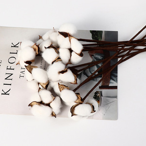 Naturale un ramo di cotone autunno fiori secchi <span class=keywords><strong>decorativi</strong></span> steli di cotone bianco per composizioni floreali - Product Image 4