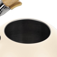 Nouveau design 3L couleur revêtement en acier inoxydable cuisinière sifflet bouilloire sifflement théière avec poignée en alliage de zinc