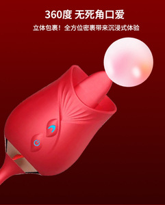 新款 2 合 1 USB 充电器 花朵红玫瑰性玩具假阳具振动器接吻 G 点阴蒂乳头刺激器女性用 - Product Image 4