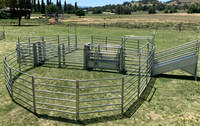 Système hydraulique de manutention du bétail avec corral de contention et équipement d'enclos pour élevages bovins