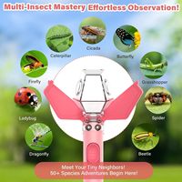 Kit de capture d'insectes avec loupe 6X, outil d'exploration STEM pour l'intérieur et l'extérieur, cadeau pour garçons, filles et adultes, vert