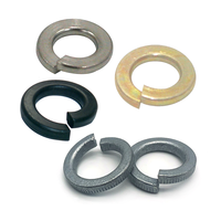 M2 M3 M4 M6 M8 M10 M12 Fastener Corrosion-Resistant Plain Washers 304/316 Stainless Steel Flat Washers and Spring Washer