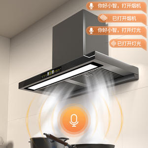 Campana extractora Meijue A Good Wife tipo T de 48 mm con alta succión, inversor, separación de humos y aceites, y alimentación eléctrica. - Product Image 3