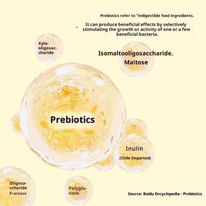 ミルクチョコレート100% ホエイプロテインパウダー大人用筋肉サポート2ポンド (76.5gプロテイン320g) - Product Image 4