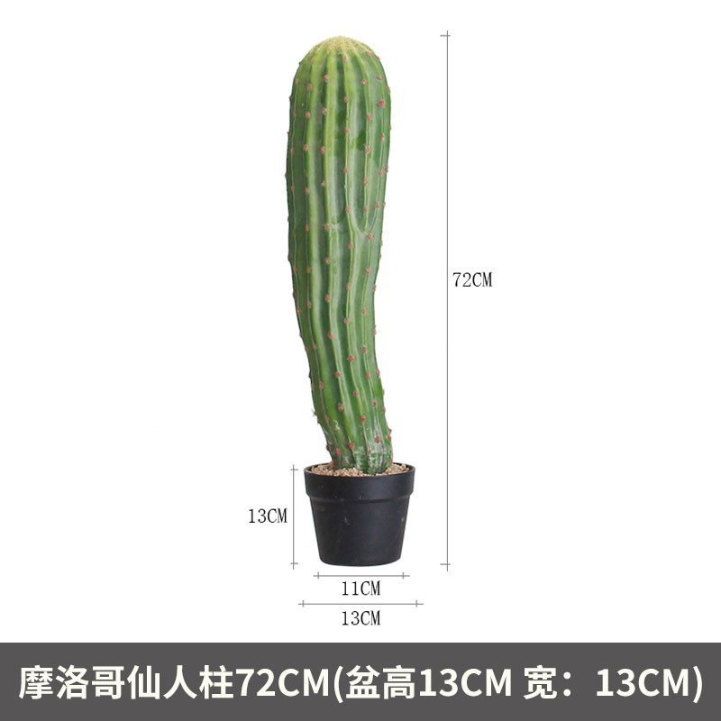 Cactus marocain, 72cm (livré avec socle noir)