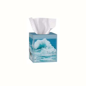 Tùy chỉnh giá rẻ 2-3 ply Facial hộp mô giấy - Product Image 6