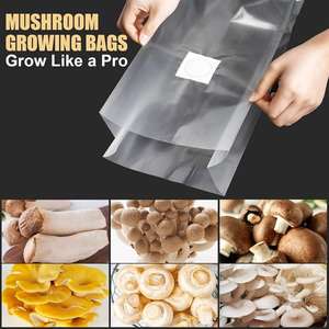 Transparenter Autoklav 60μ<span class=keywords><strong>m</strong></span> 80μ<span class=keywords><strong>m</strong></span> PP Filter Kompost beutel Pilz wachstums beutel für Pilz wachstum - Product Image 3