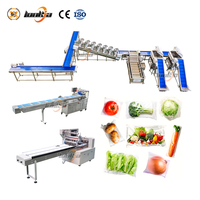 Industriële aardappelverwerkingslijn, groente- en fruitwas-, sorteer- en verpakkingslijnen, borstelrolschilmachine