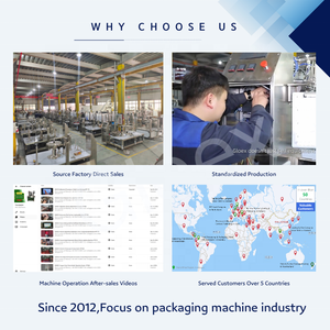 <span class=keywords><strong>Machine</strong></span> d'emballage automatique horizontale grand format Gloex à 3 stations pour litière pour chat, nourriture pour chien, sachets/poches robustes - Product Image 6