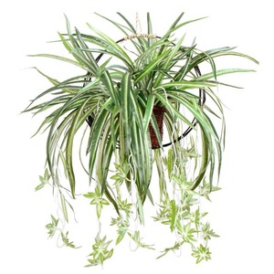 Maohui Crafts - Planta Artificial Colgante, Color Verde, 30 cm-100 cm, Decoración de Interiores, Accesorios para Bodas - Product Image 5