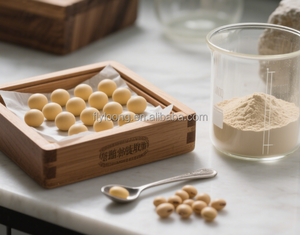 פפטידים סויה מכירה חמה צמח חלבון ברור קולגן חלבון טבעוני חלבון ללא גאמו סויה פפטיד חלבון אבקת פפטיד - Product Image 4