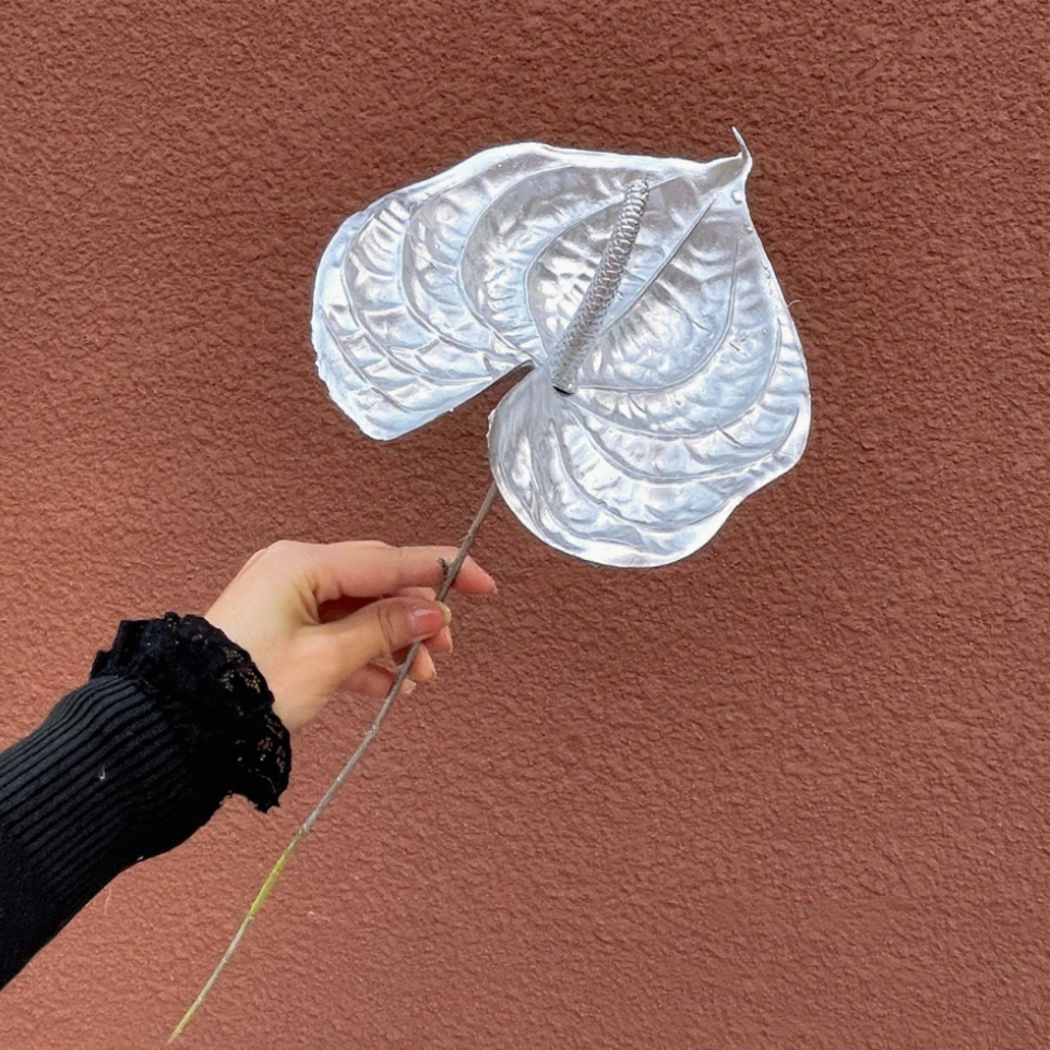 Palme d'argent unique