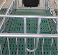 Cage à porcs moderne double/simple pour mise bas, nouvelle condition, en PVC, pour porcherie