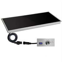 Chauffe-Plat Buffet 220V Intégré 250W en Acier Inoxydable pour Hôtels et Services de Restauration