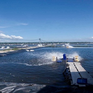 ألواح البولي إيثيلين عالي الكثافة ومنخفض الكثافة مقاومة للأشعة فوق البنفسجية غشاء مضاد للماء أغشية جيولوجية لتربية الأسماك والروبيان - Product Image 2