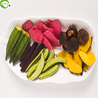 VF Gemengde Groenten & Gedroogd Fruit Bulk 1,5kg Klaar om te Eten Snack van Ningxia IVY