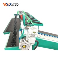 Fruit wassen en sorteren machine/mangosteen sorteermachine/fruit sorteren transportband