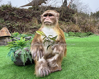 Animatronic Chamaeleonidae Animaux Réaliste Chamaeleonidae Statue Personnalisée