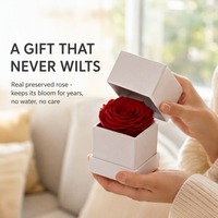 Ge conserveerde roos in geschenkverpakking groothandel, eeuwige roos cadeau voor Valentijnsdag bruiloft aangepaste kleuren en doos rechtstreeks van de fabriek