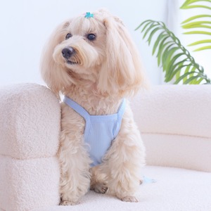 Jupe en tulle à motifs étoiles bleues pour chiens et chats, vêtements pour animaux de compagnie en polyester bleu clair, printemps-été - Product Image 4