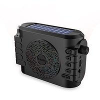 Haut-parleur d'enseignement Portable, Guide de voyage, 5W, sans fil, amplificateur micro vocal, Radio Fm, lampe de poche, Charge solaire, haut-parleur Bt