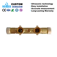 Vannes sectionnelles en laiton à ultrasons de haute qualité et haute précision, anti-corrosion, DN15-DN40, protection IP68, compteurs d'eau OEM/ODM