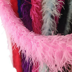 Plumes d'autruche colorées teintées sur mesure Soraj Enterprises pour artisanat, idéales pour fêtes, mariages, décoration intérieure – Promotion à prix abordable - Product Image 3