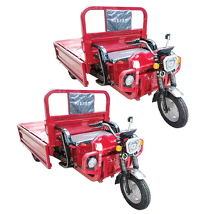 รถ<span class=keywords><strong>กระบะ</strong></span>ไฟฟ้าแบบสามล้อ รับส่งผู้โดยสารและขนส่งสินค้า <span class=keywords><strong>ราคา</strong></span>ถูก ปรับแต่งโลโก้ได้ กำลังไฟ 800W 48V60v 1000W แบตเตอรี่ตะกั่วกรดแบบประหยัดพลังงาน - Product Image 1