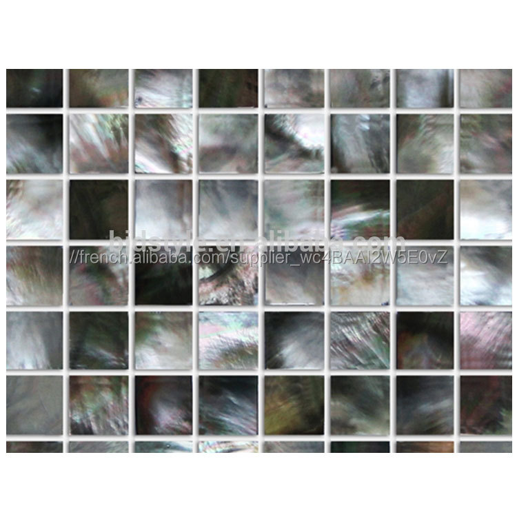 Forme irrégulière Rivière Mère De Nacre Coquille Mosaïque Tuile Pour La Décoration