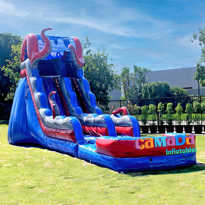 Toboggan aquatique gonflable commercial économique, grand modèle Poulpe, double piste <span class=keywords><strong>avec</strong></span> <span class=keywords><strong>piscine</strong></span>, pour adultes et enfants, pour le jeu estival - Product Image 5