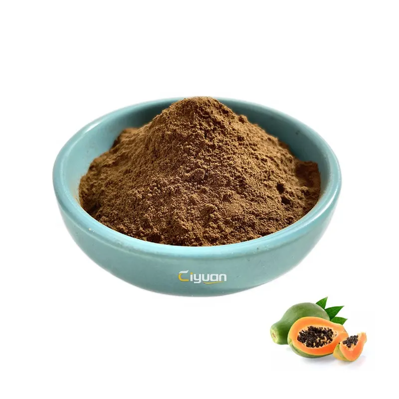 Factory Supply 100% Natural Papaya Extract Powder Good for Women