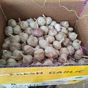 Ajo affresco Caj De 10 kg Ajo Chino - Product Image 1