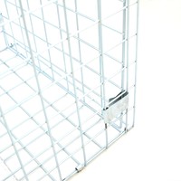 Piège pour animaux vivants cages en métal galvanisé pliable sans cruauté piège pour animaux cag pour attraper hyène renard chats chiens cage d'écureuil