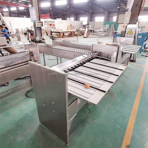 Máquina Profesional Totalmente Automática para Pesar, Clasificar y Calibrar Huevos de Ganso, Pollo y Codorniz - Product Image 5