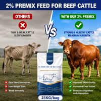 Premix 2% untuk Sapi - Suplemen Pakan Vitamin & Mineral untuk Pertumbuhan & Kesehatan Unggul, Formulasi Kustom OEM