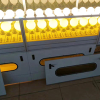Nouveau bricolage peint éclairage décoratif G80 G95 G125 forme globale Vintage Led ampoules à filament