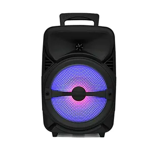 High Quality And Low Price Mobile Large Trolley Portable Speakers With Mic Sound Wood Dj S Bluetooth System Led