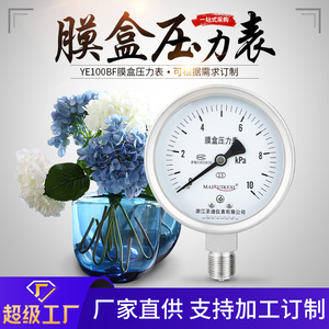 เกจวัดแรงดันไดอะแฟรมสแตนเลส 304 รุ่น YE100BF แบบด้าน  พร้อมไดอะแฟรมเชื่อมต่อแบบเกลียว ทนทานต่อการสั่นสะเทือน - Product Image 5