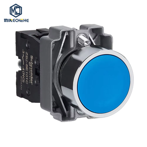 New and Original XB2 Push <b>Button</b> Flush Spring Return XB2BA61C XB2BA61 ZB2BA6 ZB2BZ101 - Product Image 1