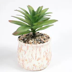 Mini Pots de fleurs en céramique pour plantes, support d'extérieur et d'intérieur au Design personnalisé, mat, coloré, pour bureau, vente en gros,